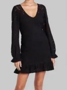 wild fable Black V-Neck Lace-Sleeve Ruffle-Hem Mini Dress